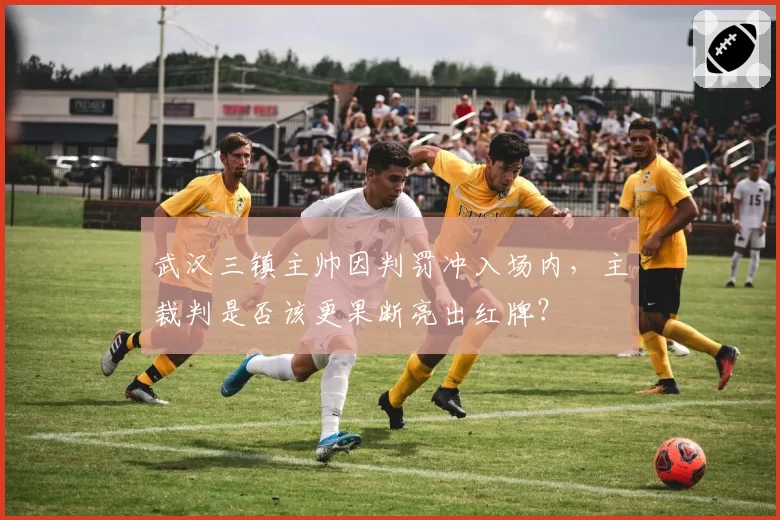 武汉三镇主帅因判罚冲入场内，主裁判是否该更果断亮出红牌？